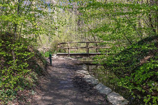 Adventurous natural hiking path in the forest alongside a stream with a crossing in South Limburg near Elsloo, this forest is very popular for families so kids can play alongside the water