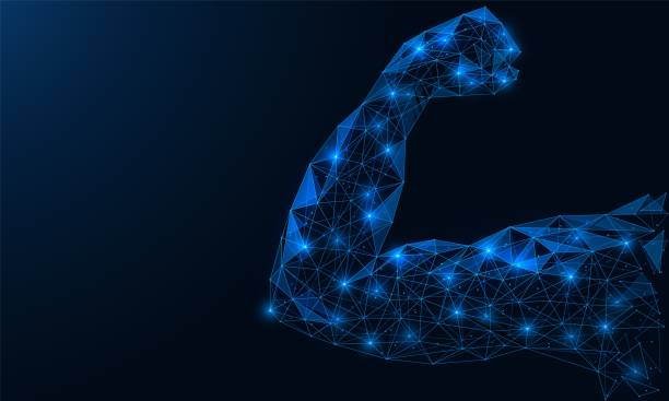 The musculature of the human arm. The musculature of the human arm. A show of force. Polygonal construction of lines and points. Blue background. unyielding stock illustrations