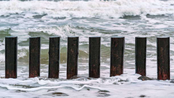istock High wooden breakwaters in foaming sea waves 1314602228
