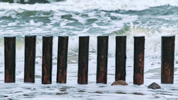 istock High wooden breakwaters in foaming sea waves 1314604950