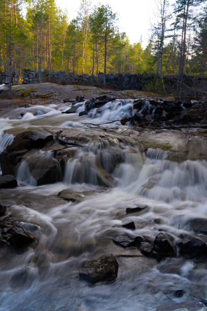 istock A forest stream in a Scandinavian forest in early spring 1314606525