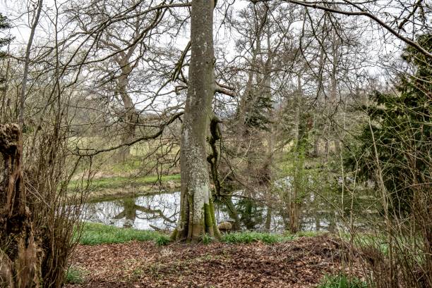 istock Rural Country Pond. 1314606589