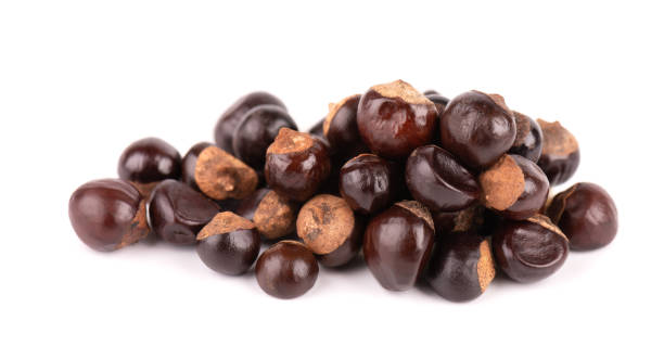 istock Guarana seed isolated on white background. Dietary supplement guarana, caffeine cource for energy drinks. Paullinia cupana. 1314606692