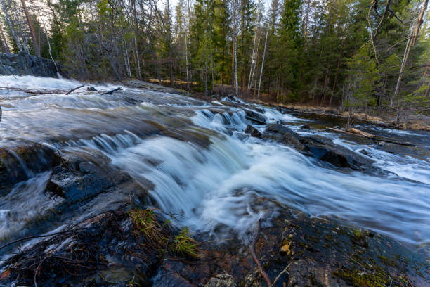 istock A forest stream in a Scandinavian forest in early spring 1314607511