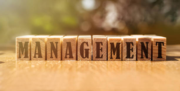 istock Woed MANAGEMENT made with building wooden blocks on table in sunlight 1314608133