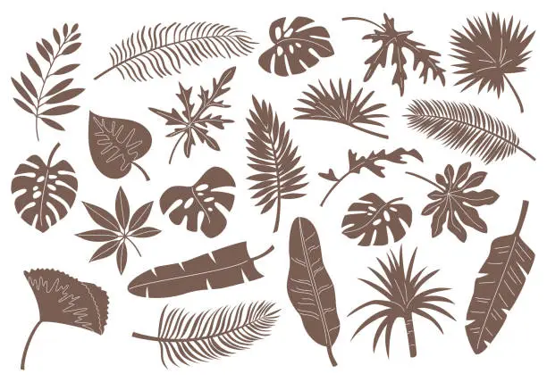Vector illustration of Set of monochrome tropical leaves and plants.