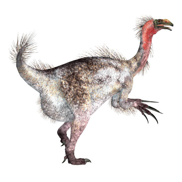 therizinosaurus dinosaurierschwanz - therizinosaurus stock-fotos und bilder