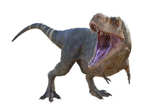 Tyrannosaurus rex was a carnivorous theropod dinosaur that lived in North America during the Cretaceous Period.
