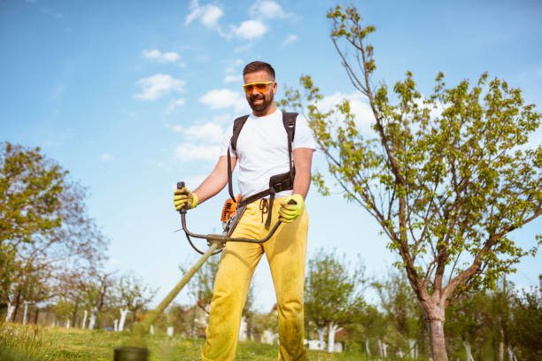 istock A man mows the thick grass with a gasoline trimmer 1314612930