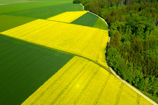 istock Spring Landscape, Abstract Shapes, Aerial View 1314614244