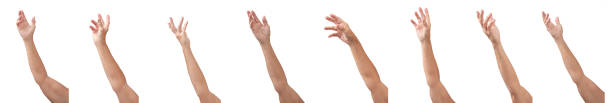Eight Hands Reaching Throwing Catching, Waving Isolated On White