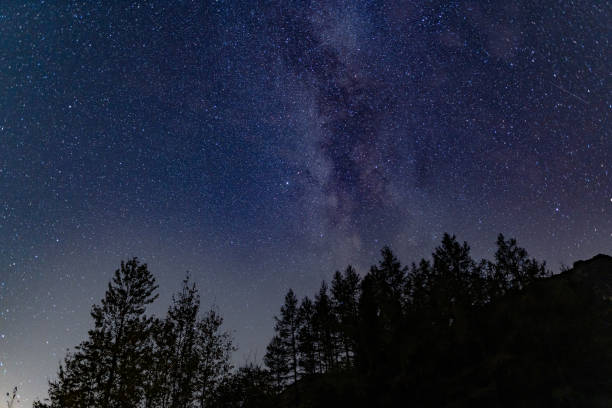 istock The milky way over the trees by Blea Tarn 1314620928