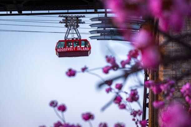 istock Roosevelt Island Tram 1314627299