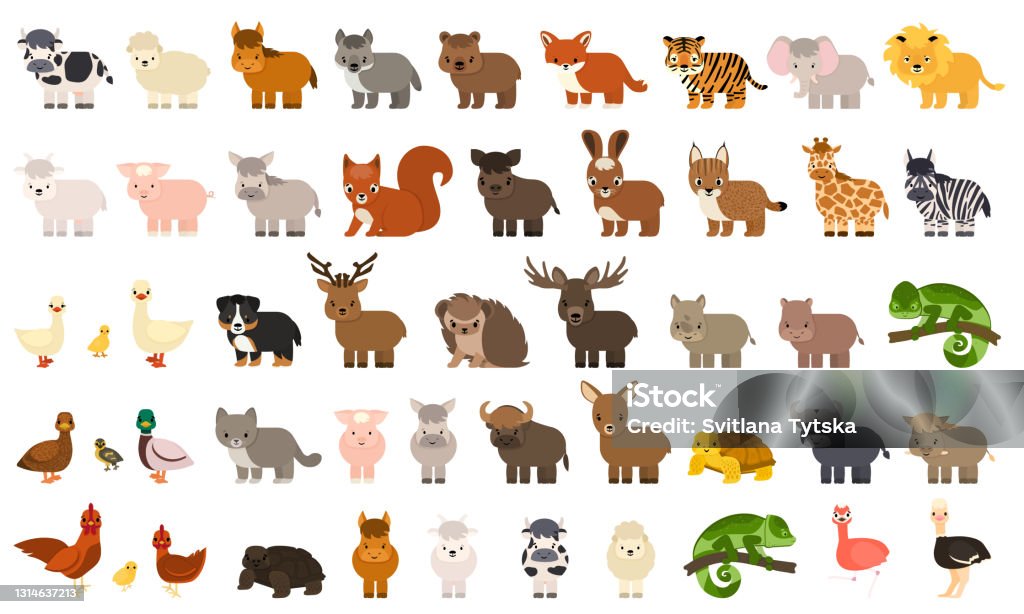 Ilustración de Gran Paquete De 50 Divertidos Domésticos Granja Bosque Animales Salvajes Aves En Estilo Plano Ilustración Vectorial Colorida De La Colección De Personajes De Dibujos Animados Lindos Aislados Sobre Fondo Blanco Ilustración de Gran Paquete De 50 Divertidos Domésticos Granja Bosque Animales Salvajes Aves En Estilo Plano Ilustración Vectorial Colorida De La Colección De Personajes De Dibujos Animados Lindos Aislados Sobre Fondo Blanco