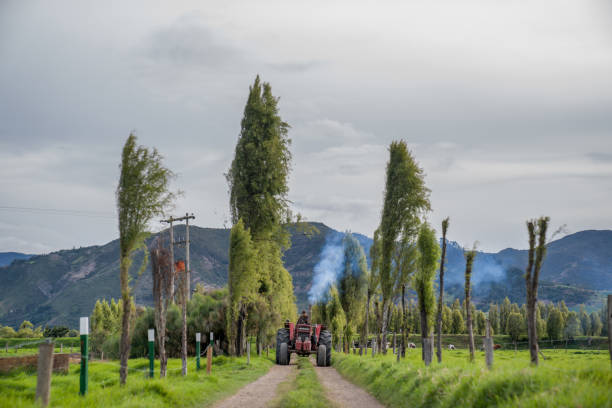 Latin American farmer driving a tractor while working the fields of a farm - agriculture concepts
