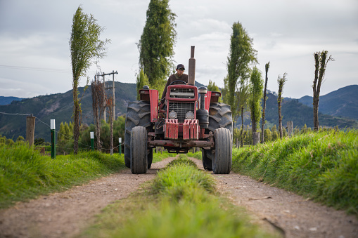 Latin American farmer driving a tractor while working the fields of a farm - agriculture concepts