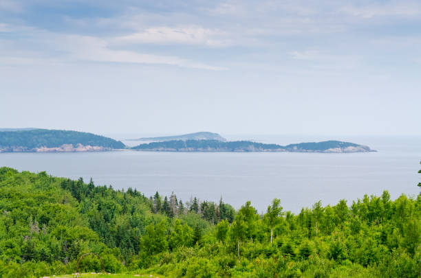 istock Coastline of Breton Highlands 1314657939
