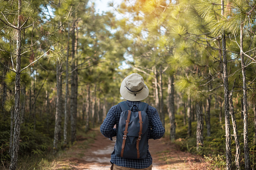 Young man with backpack and hat hiking in mountains during summer season, solo traveler walking in the forest. Travel, adventure and journey concept