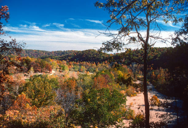 istock Sutton Bluff Rec Area - View from Trail - Horizontal - 1976 1314676778
