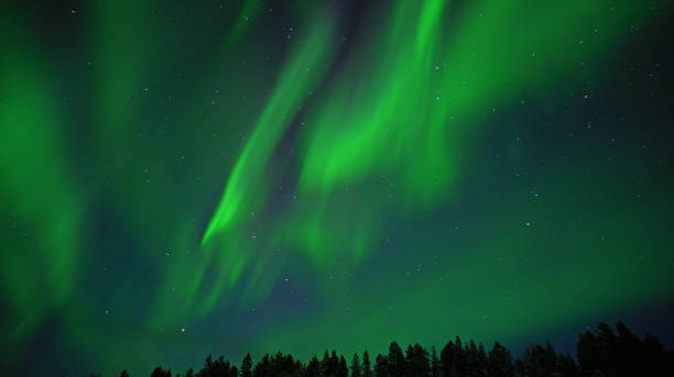 istock Aurora borealis. Northern lights night photo arctic circle 1314683380