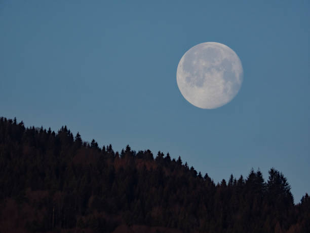 istock Moonset behind the forest, Monduntergang 1314685314