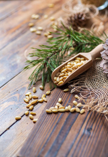 istock Pine nuts in a scoop with a pine branch, lie on a wooden table. 1314686947