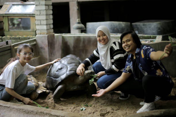 istock A Day in Petting Zoo 1314689376