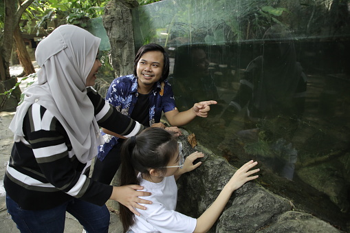 Asian friends are taking a closer look on Pig Nose Turtle (Fly River Turtle) during petting zoo visit in Malaysia
