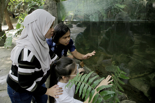 Asian friends are taking a closer look on Pig Nose Turtle (Fly River Turtle) during petting zoo visit in Malaysia