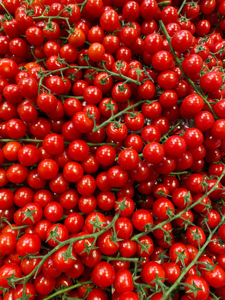 Fresh cherry tomatoes on shelf. View from above