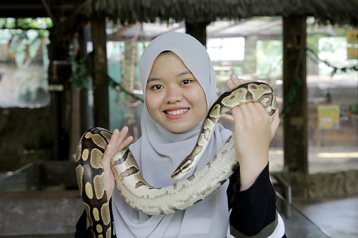 A young Asian woman is enjoying holding Royal Python during weekend outing at petting zoo in Malaysia.