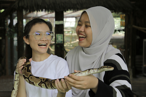 Two young Asian friends are holding Royal Python during weekend outing at petting zoo in Malaysia.