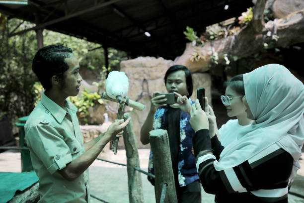 istock Local Tourism 1314690760