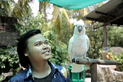A young Asian man is taking a closer look on White Umbrella Cockatoo at petting zoo in Malaysia.