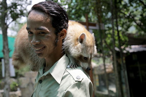 A young Asian man is enjoying interact with racoon at petting zoo in Malaysia.