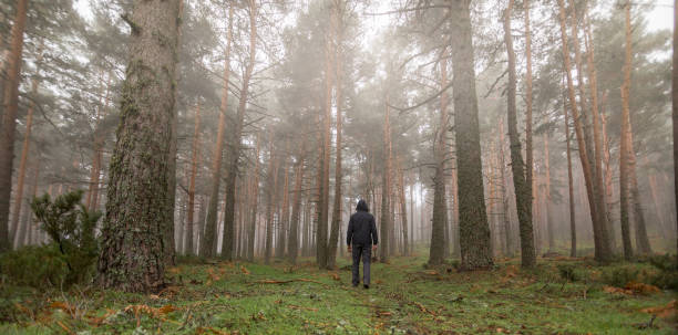 istock Lost man in the middle of the forest 1314693443