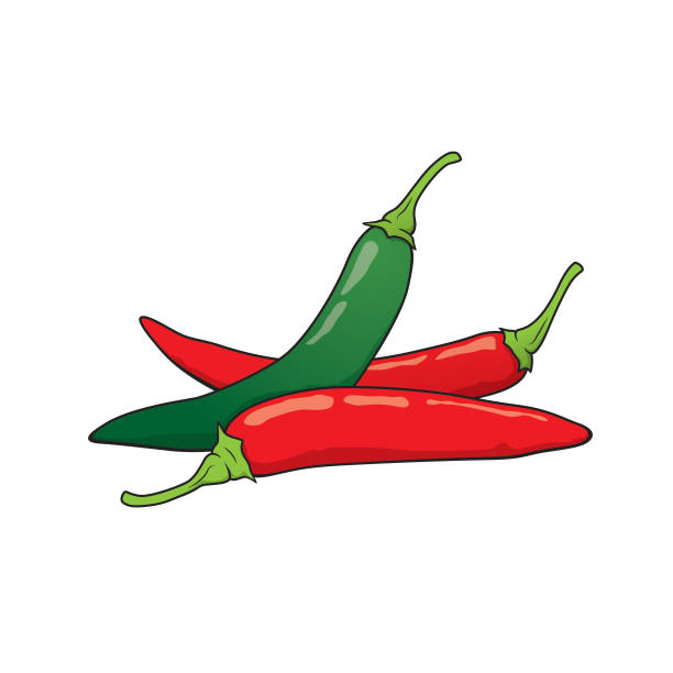 白い背景に分離されたチリのベクターイラスト。有機野菜や果物の漫画の概念。教育や学校の教材、子供の着色ページ、印刷可能、活動、ワークシート、フラッシュカード。 - chili pepper spice thailand food点のイラスト素材／クリップアート素材／マンガ素材／アイコン素材