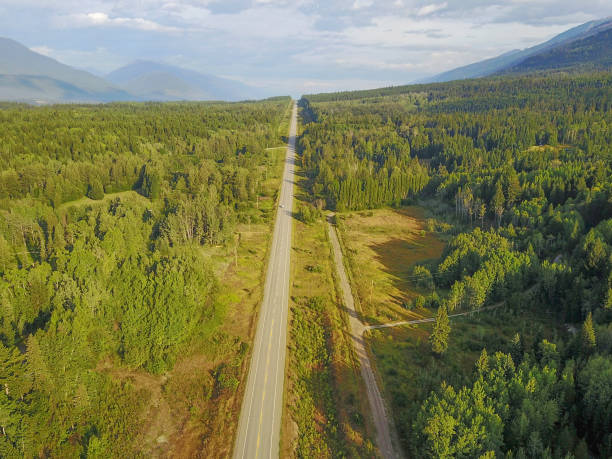 istock Aerial view of a road cutting into forest 1314693647