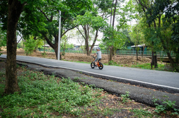 istock Ride in the way of forest 1314695929