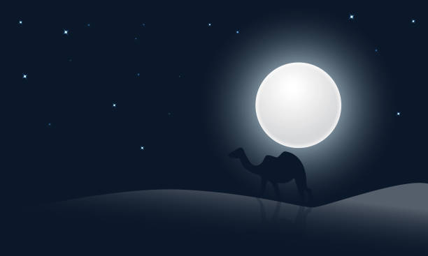 istock Scene of Moonlight desert landscape with camel Illustration Vector EPS 10 1314702463