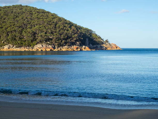 istock Refuge Cove - Wilsons Promontory 1314702548