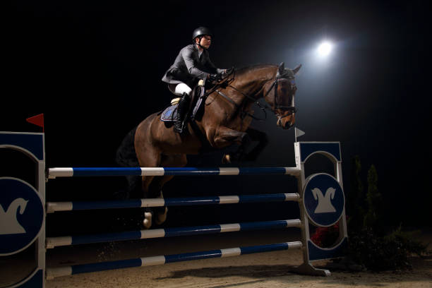 istock Horse and a rider jumping over hurdle 1314704521