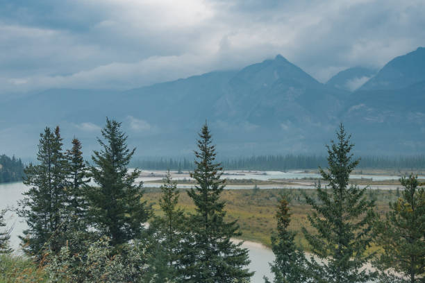istock Meadows around athabasca river on a very cloudy and rainy day in Jasper National Park, Alberta, Canada. Trees in the front, blue misty mountains in the back. 1314706346