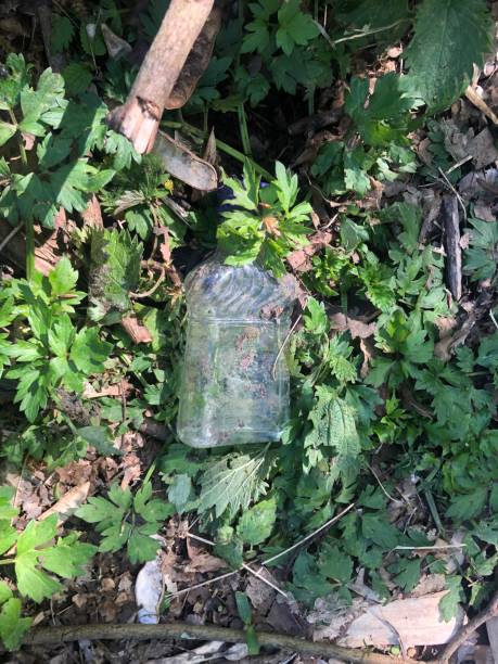istock Rubbish in nature 1314707360