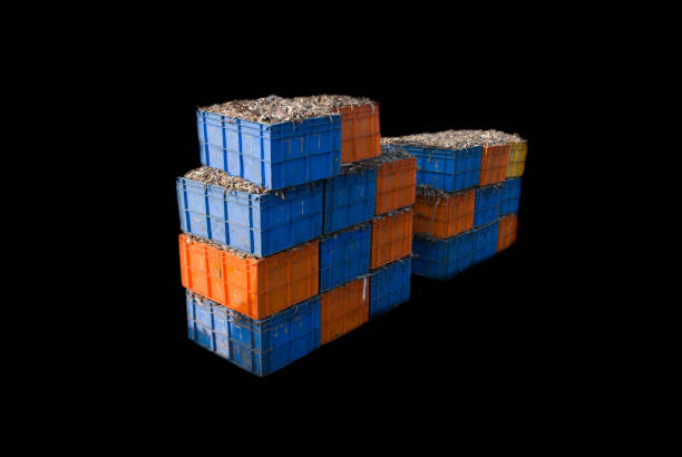 Neatly aligned green and blue crates stacked in a warehouse, showing reflective floors and secure organization. Perfect staging for effective citrus transport, ensuring quality inspection and efficient export operations. A vivid industrial setting for logistics and storage.