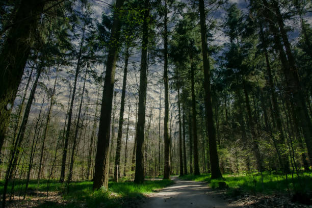 Creating a Mystic Atmosphere