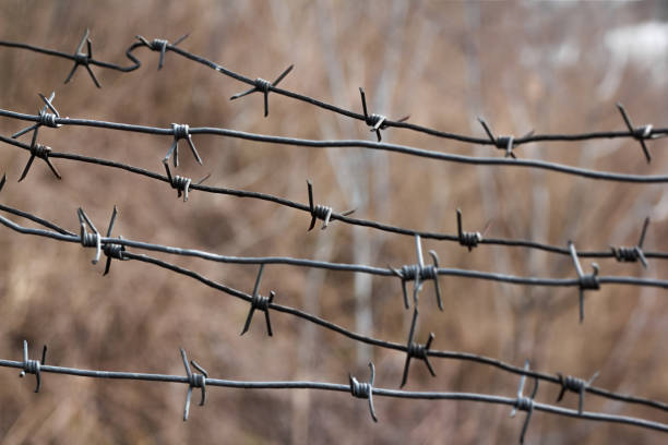 istock Barbed wire close-up is located in a row. 1314727669