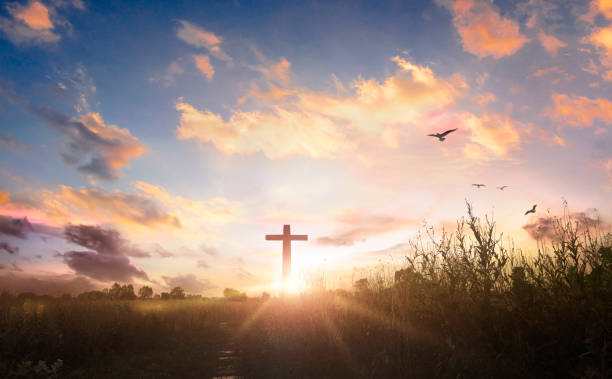 istock black cross religion symbol silhouette in grass over sunset sky background 1314731439