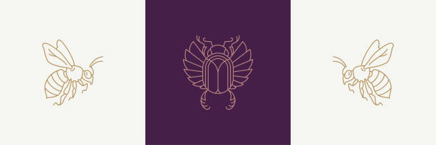 Magic flying sacred wasp and carab in boho linear style vector illustrations set Magic flying sacred wasp and carab in boho linear style vector illustrations set. Simple bohemian emblems in golden lines with ancient religious insects for mythical design and esoteric concept. scarab beetle stock illustrations