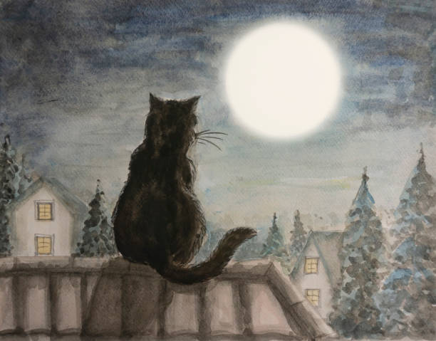 bildbanksillustrationer, clip art samt tecknat material och ikoner med en svart katt som sitter på ett hustak tittar på vit fullmåne ovanför staden och träd under mörkblå himmel på natten, vattenfärgmålning illustration bild - katt thai